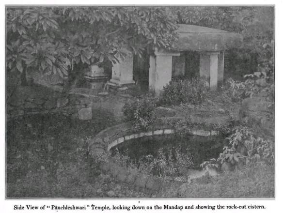 WhatsApp Image 2022-04-03 at 09.45.10 (1)