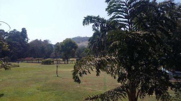 Parvati hills view