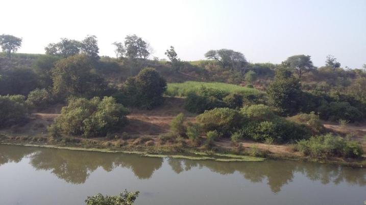 Krishna river banks