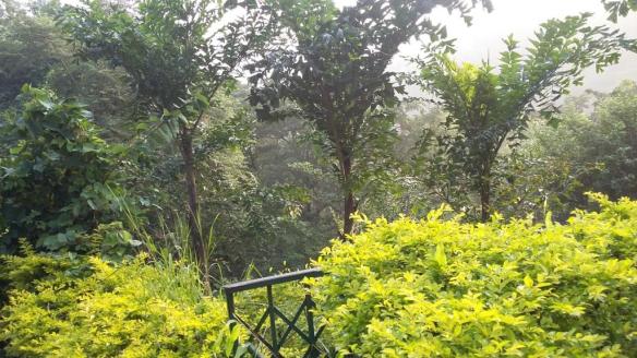 the-whispering-valley