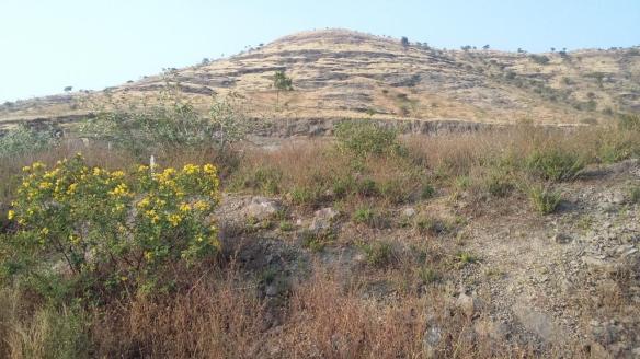 on-the-way-to-bolhaidevi