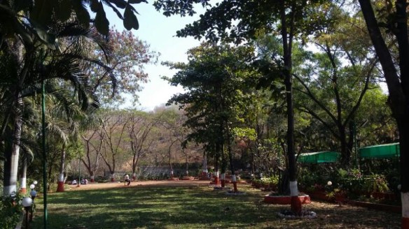 Peaceful and green surroundings.jpg